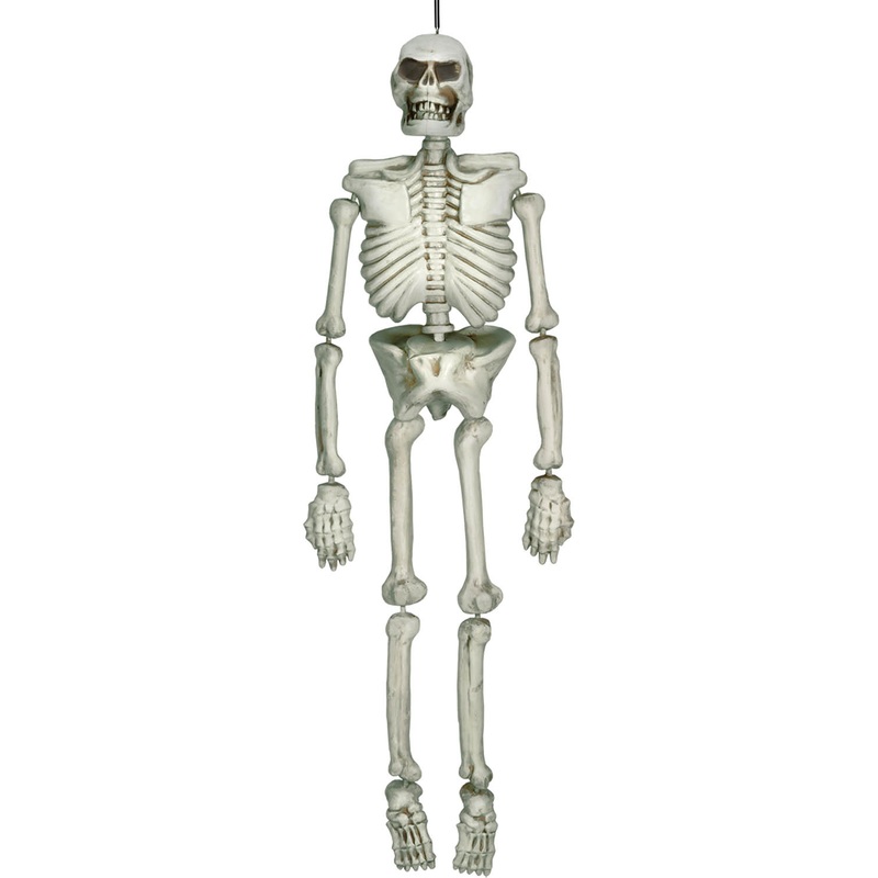 Life-size skeleton 137cm