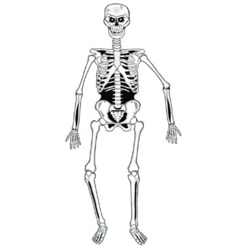 Skeleton Archibald wall decoration 1.4m