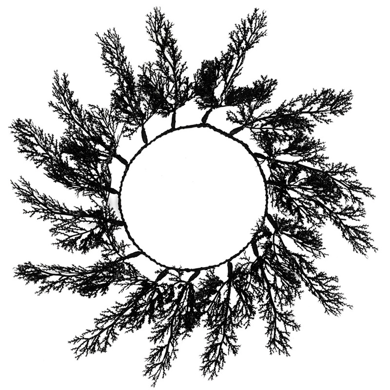 4 black fern placemats 40cm