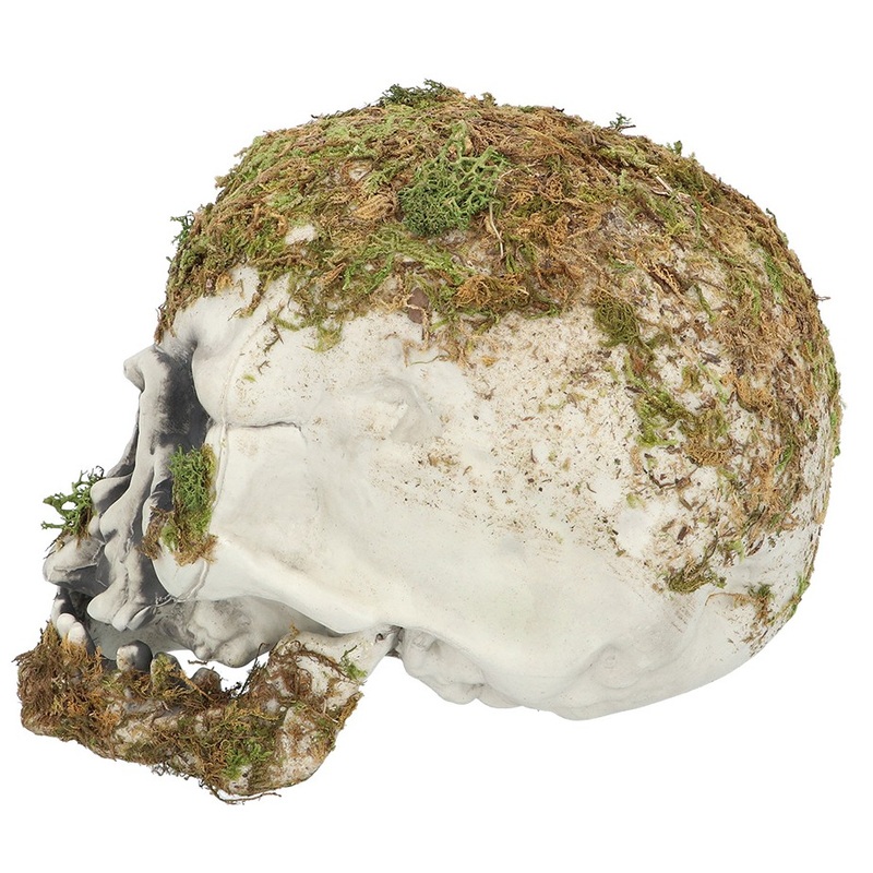 Swamp skull 14.5 x 12 x 19 cm