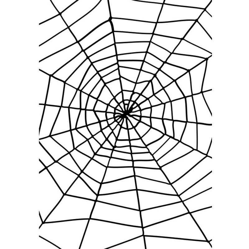 Cobweb Shocking Spider 150cm