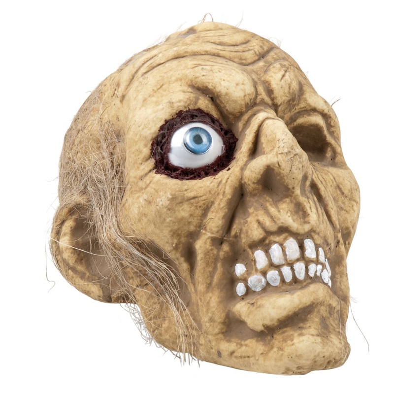 Creepy scary head one-eyed