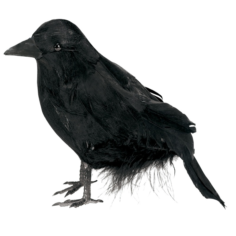 Mysterious cemetery raven