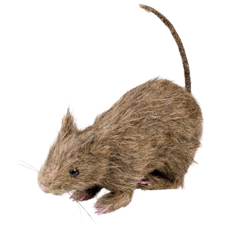 Ravens Castle Halloween rat