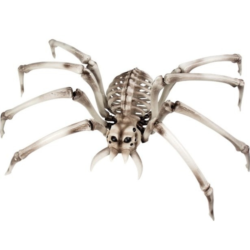 Scary spider skeleton 84cm