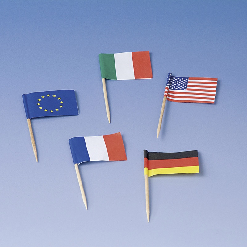 50 international flags skewers