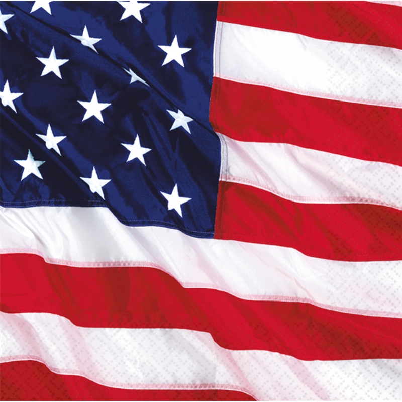 Set of 16 United States Of America flag napkins