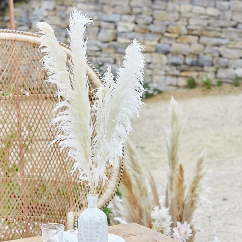 5 Country Wedding pampas grass 90cm
