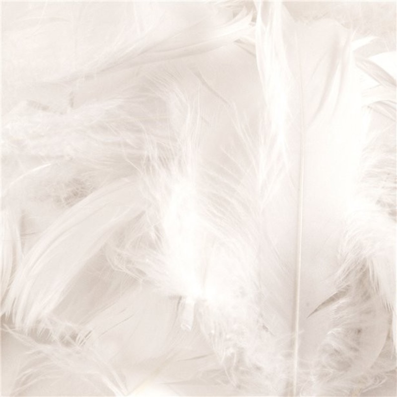 50g white feathers