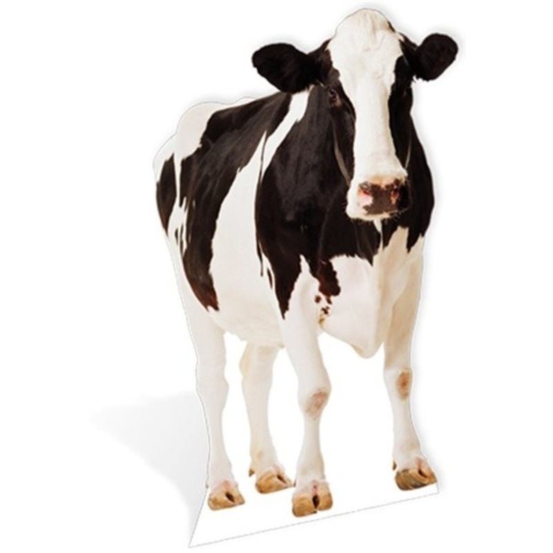Life-size cardboard cow display 1.6m