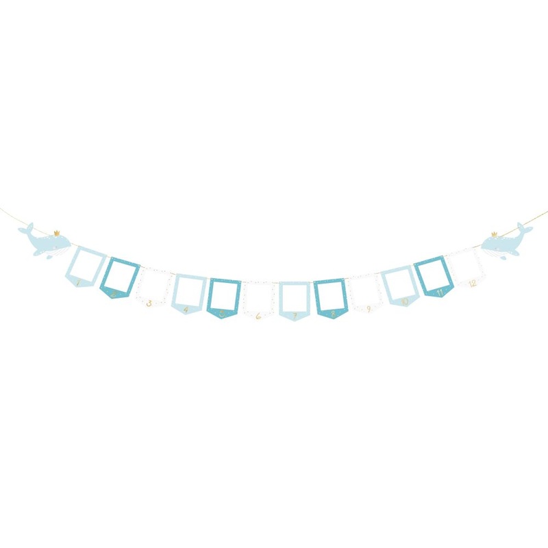 DIY photo garland little whale 3m