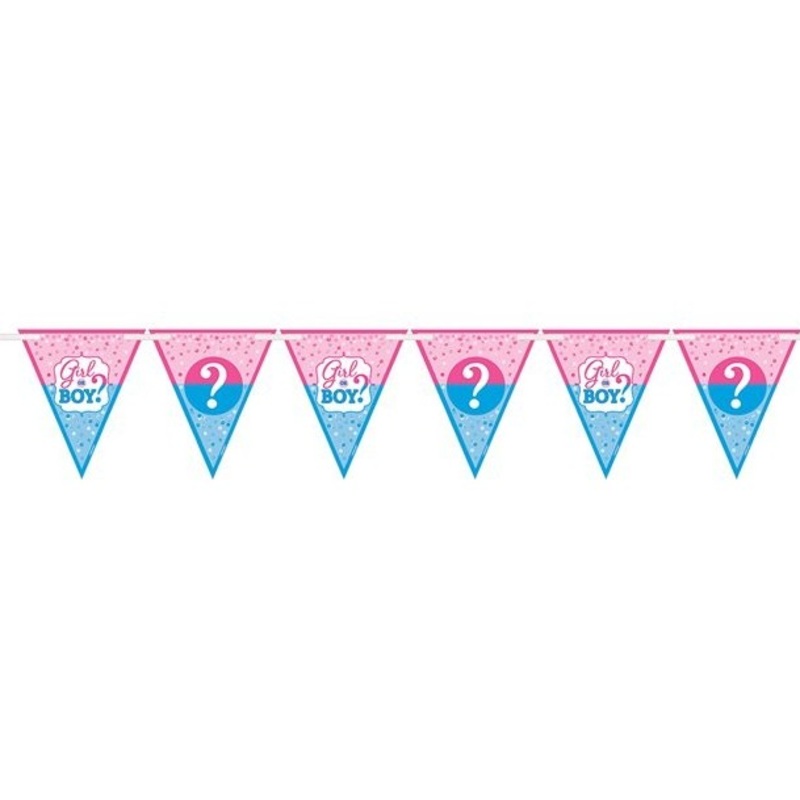 Gender Reveal pennant chain 4.5m