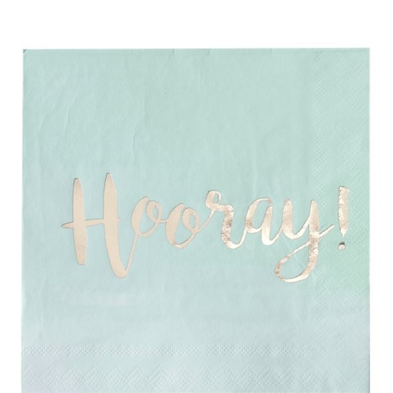 20 napkins Hooray mint green 33cm