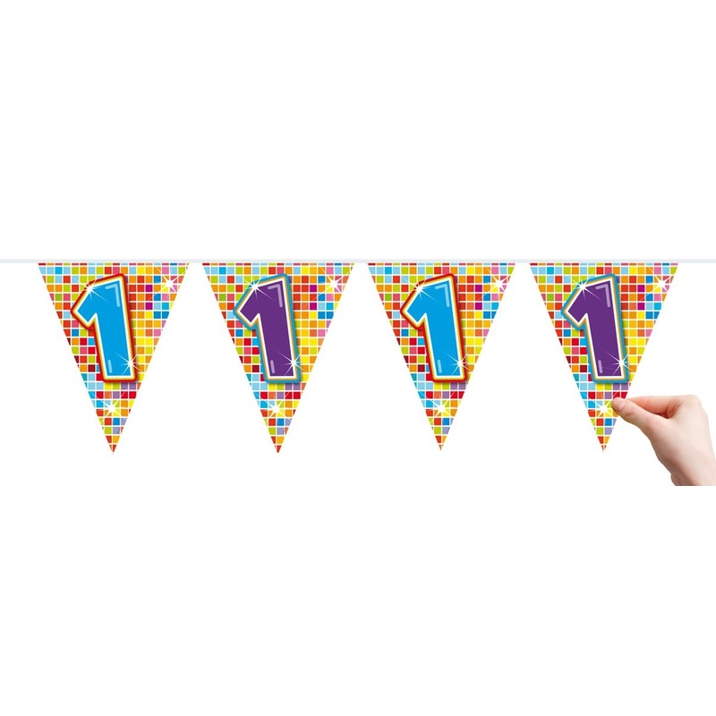 Groovy 1st Birthday pennant chain 6m