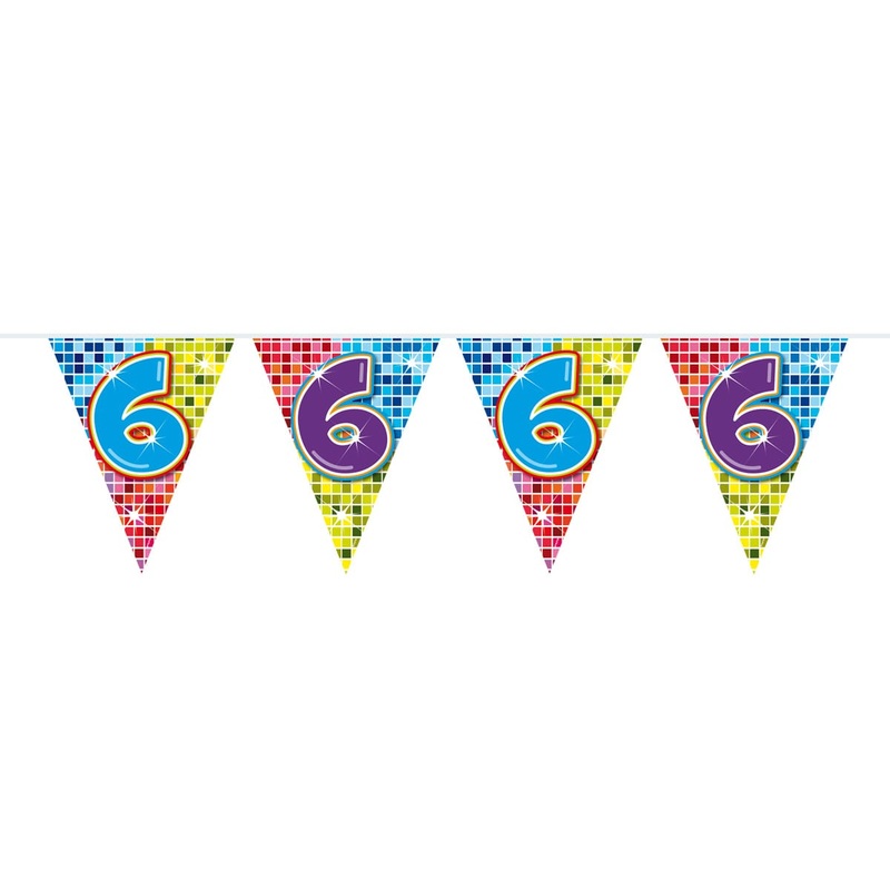 Groovy 6th Birthday pennant chain 3m