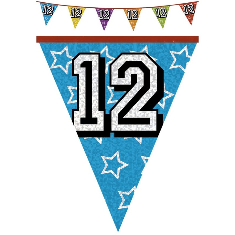 Holographic pennant chain 12 colored 8m