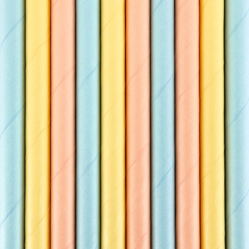 10 Summers Tale straws 19.5cm