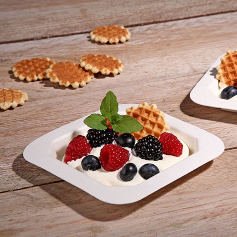 50 sugar cane finger food plates white 13 x 13cm