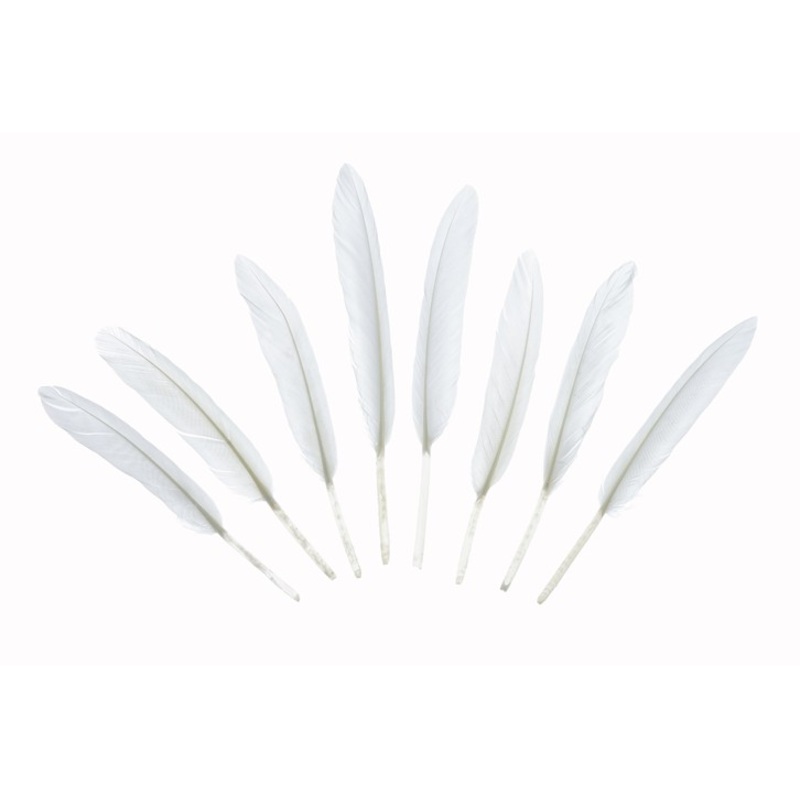 8 Heaven Blessed decorative feathers