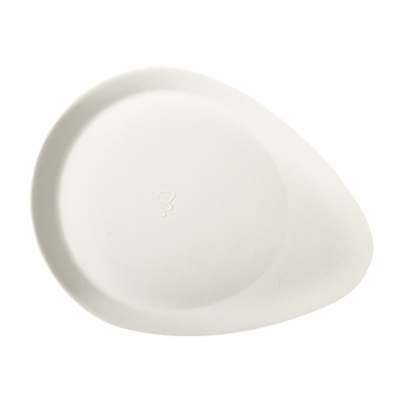 50 sugar cane plates Aleko 25 x 19cm