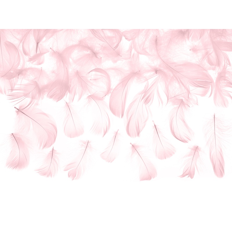 Decorative Feathers Pink 3g