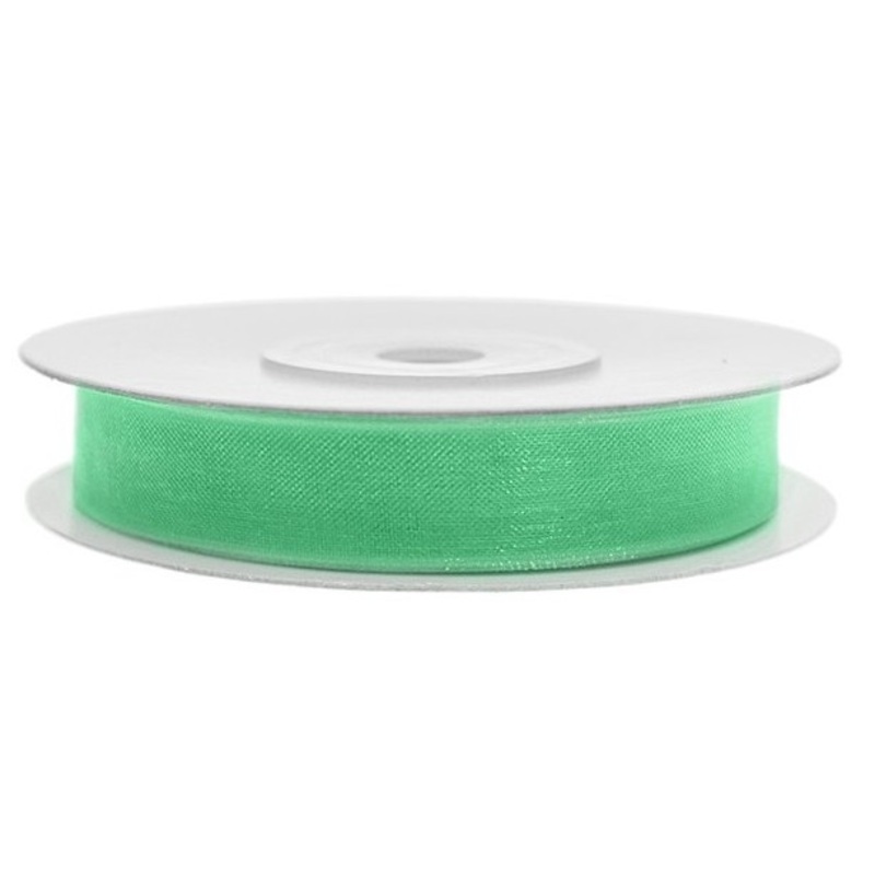 25m mint green ribbon