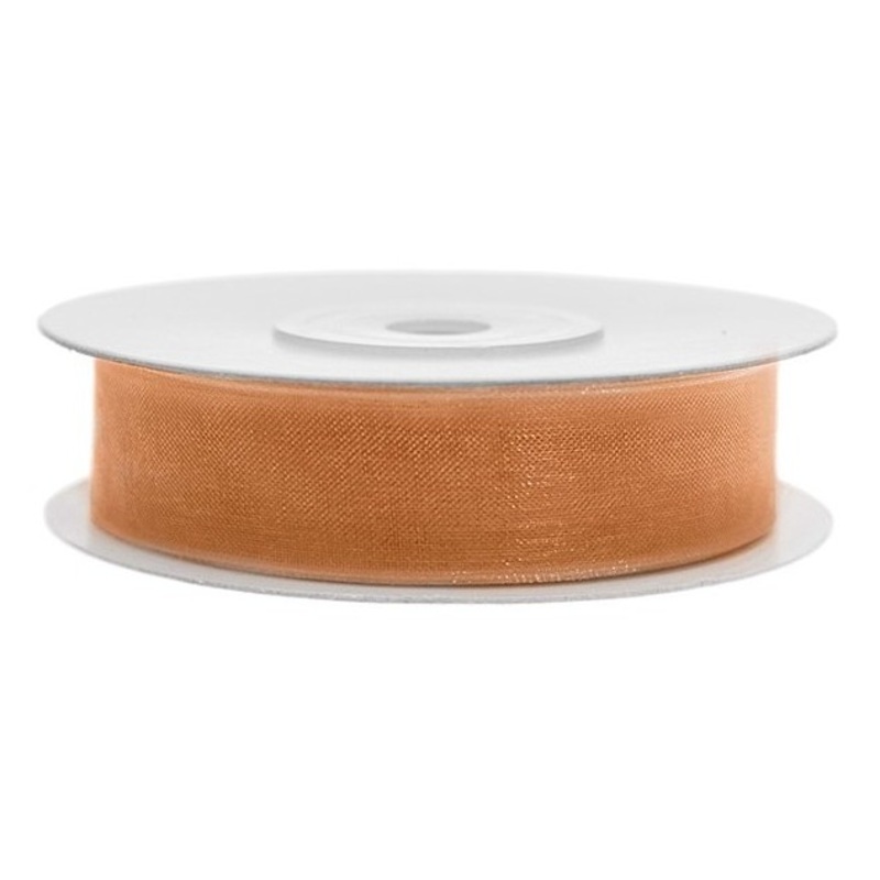 25m gift ribbon in hazelnut brown