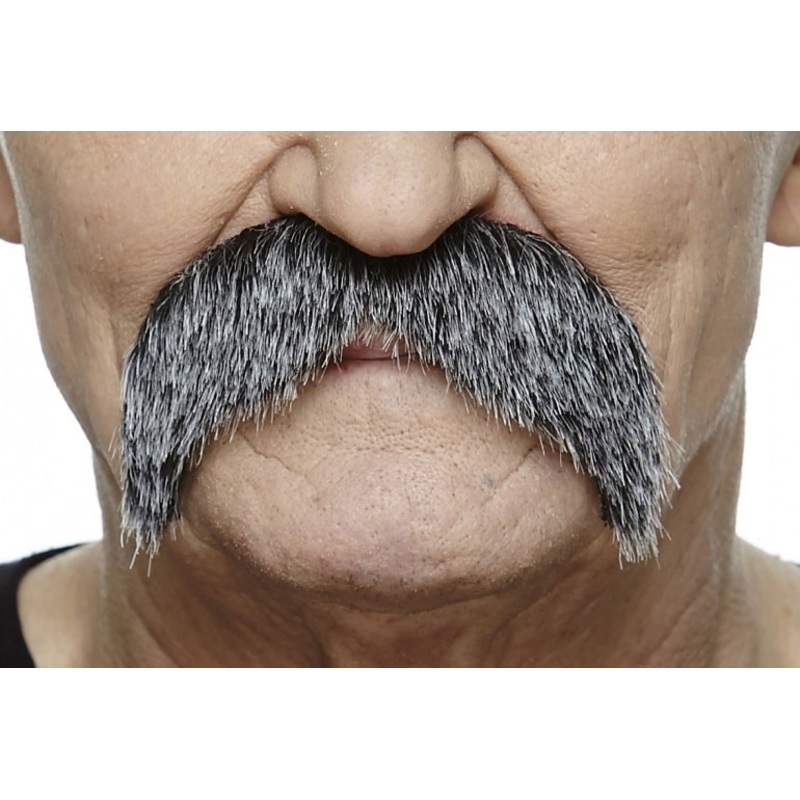 Gray Walter mustache
