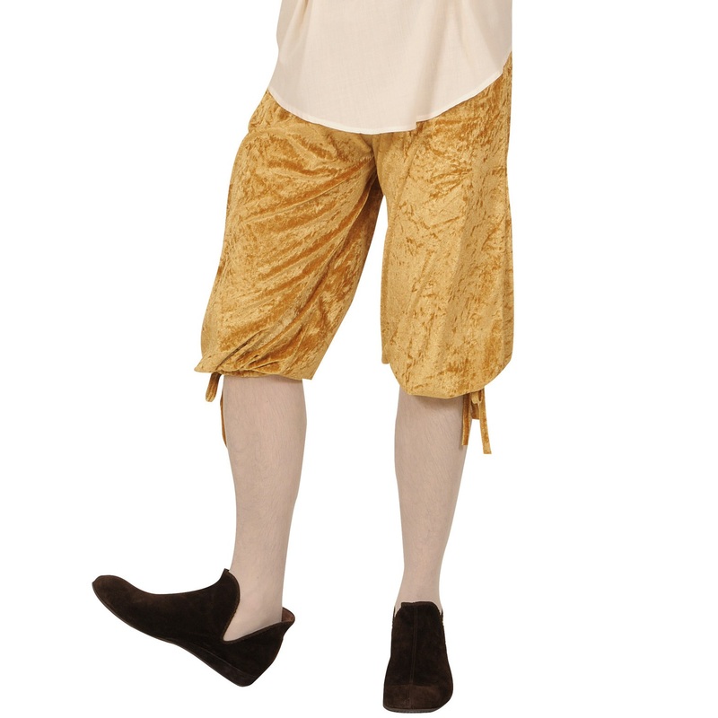 Elegant breeches Franois