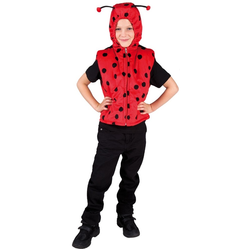 Fluffy ladybug child costume
