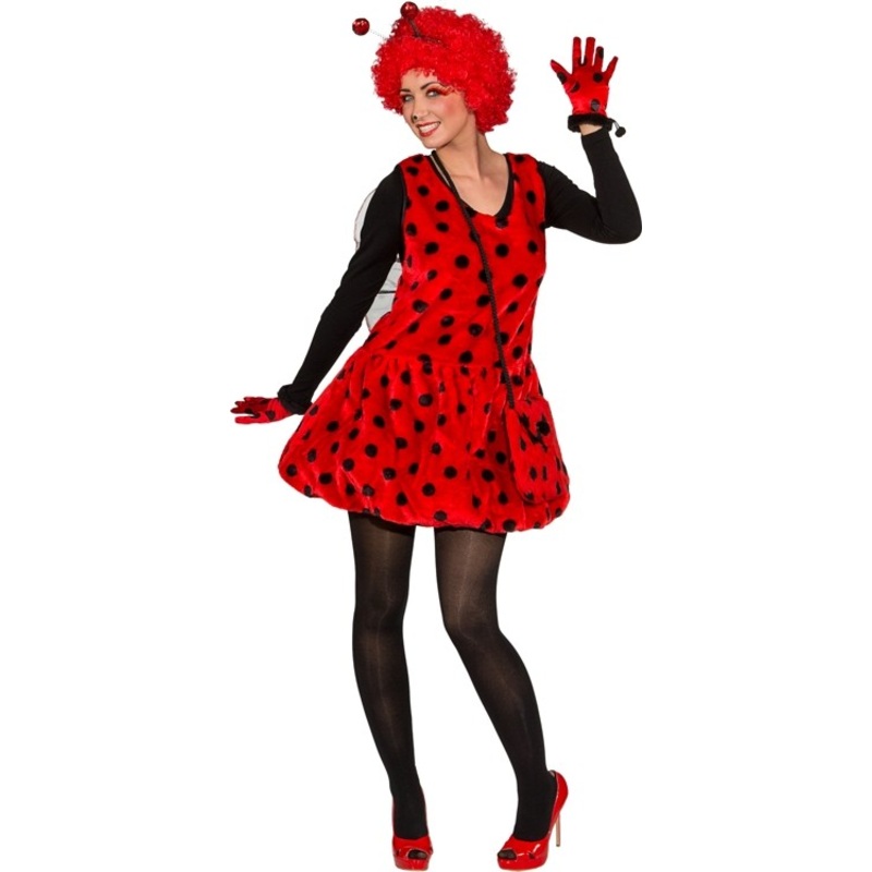 Sweet ladybug dress with wings