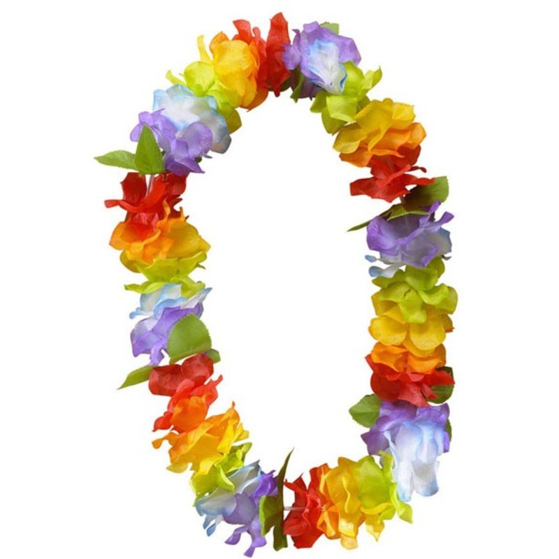 Colorful Hawaiian island chain