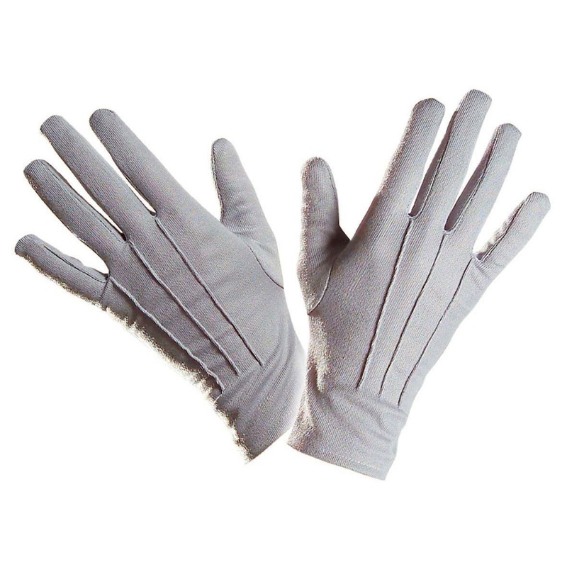 Gray elegant gloves