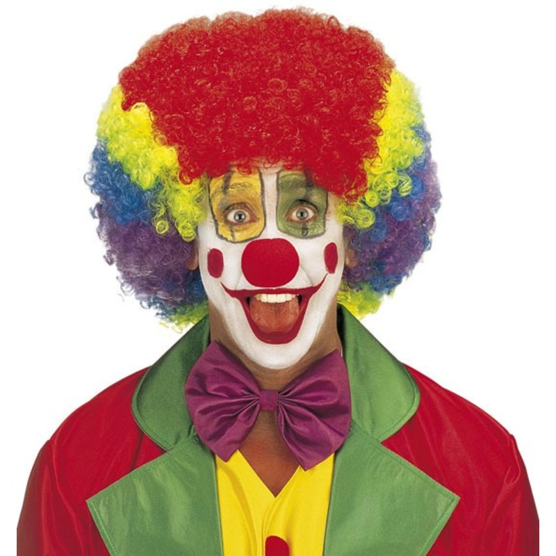 Giant clown wig multi-color style