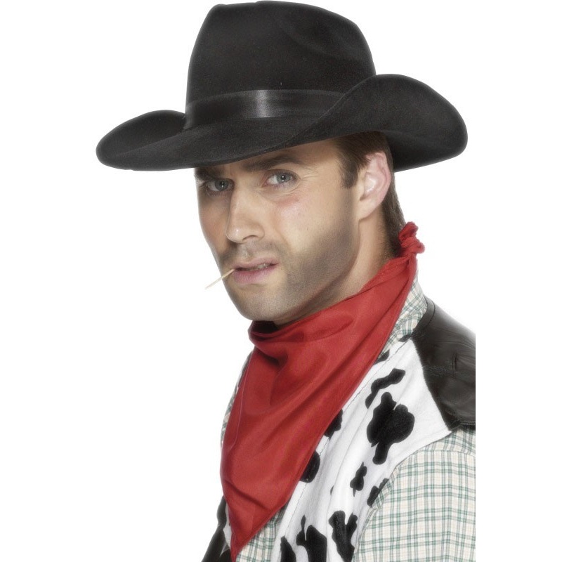 Western hero Jacob cowboy hat