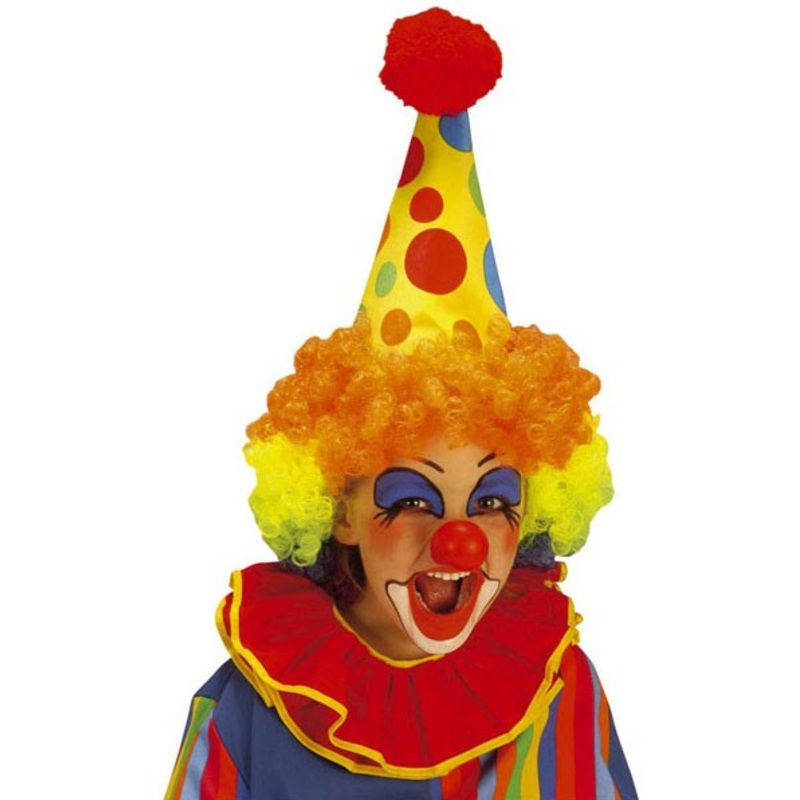 Colorful clown wig with pointed hat