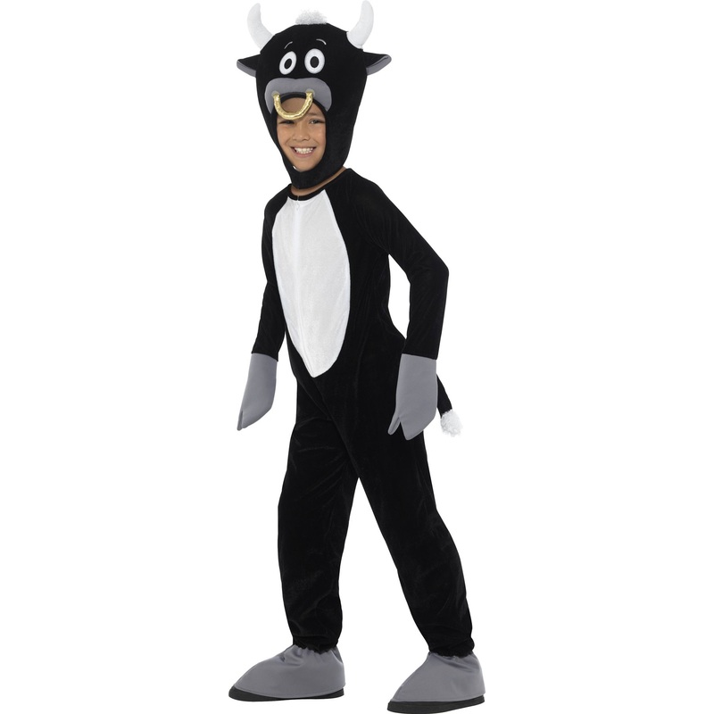 Little boy child costume