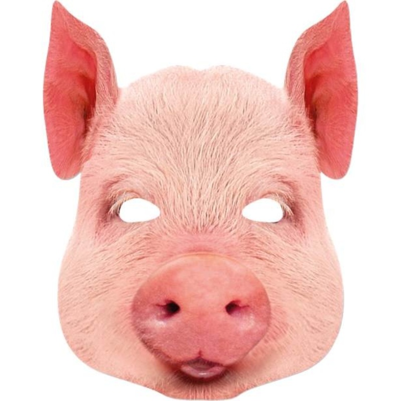 Piggy grunt cardboard mask