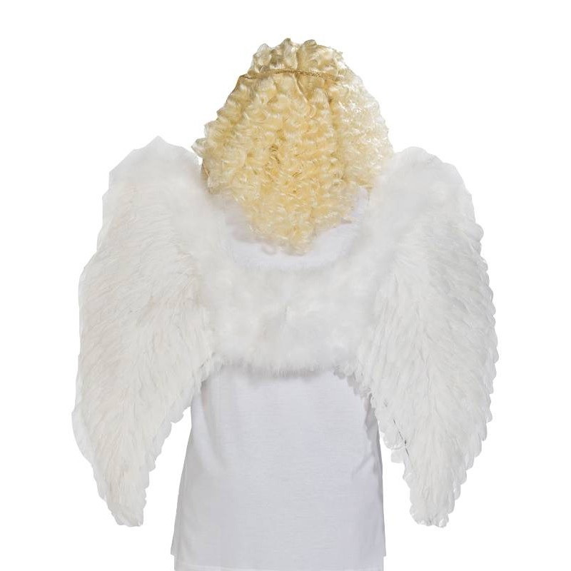 Heavenly angel wings 87 x 72cm