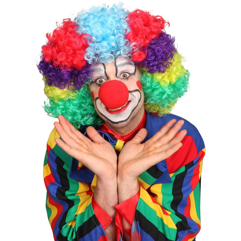 Rainbow Afro Clown Wig
