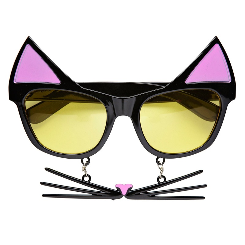 Funny kitten glasses with whiskers