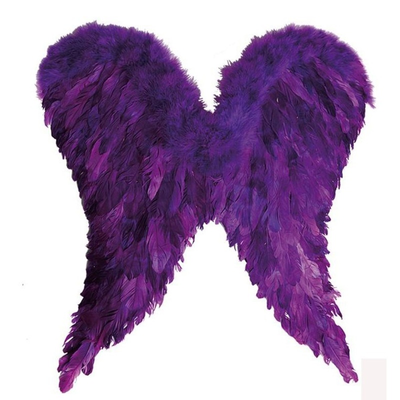 Wings angel feathers purple