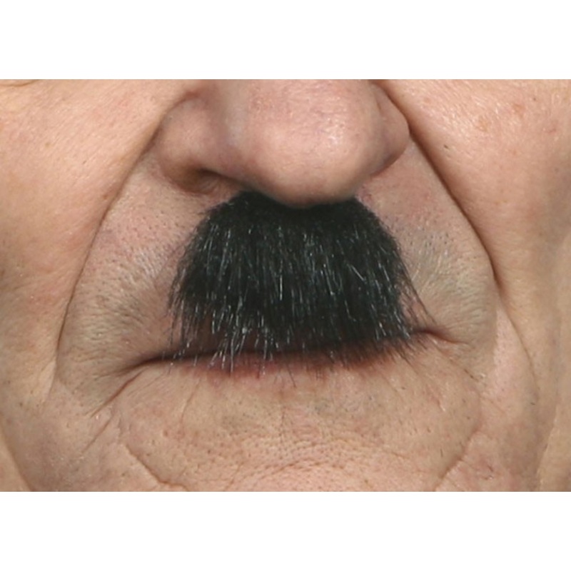Alfons mini beard