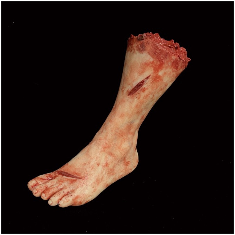 Silicone Severed Female Leg (Wounds)