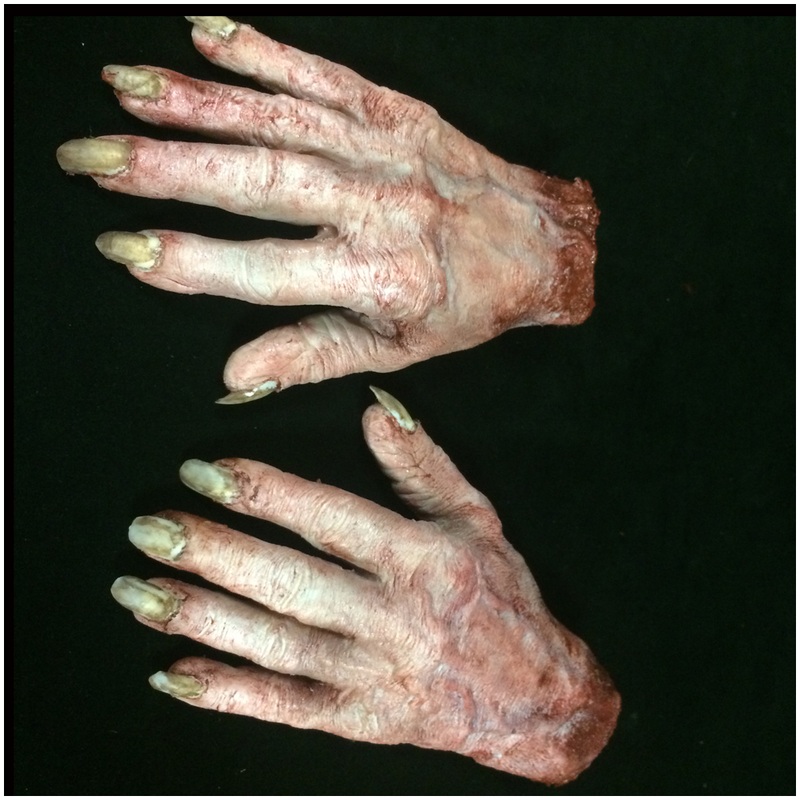 Silicone Severed Witch Hand (One)