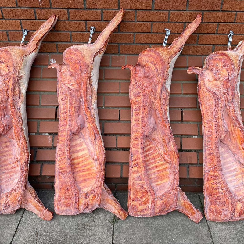 Life Cast Pig Carcass