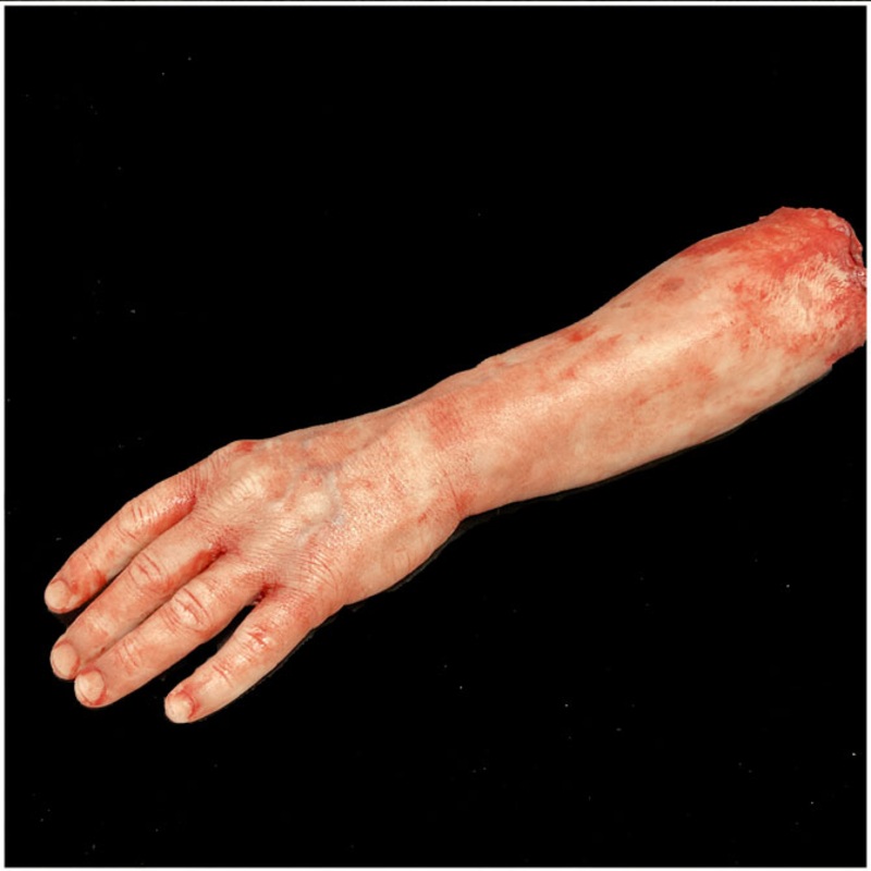 Silicone Male Forearm