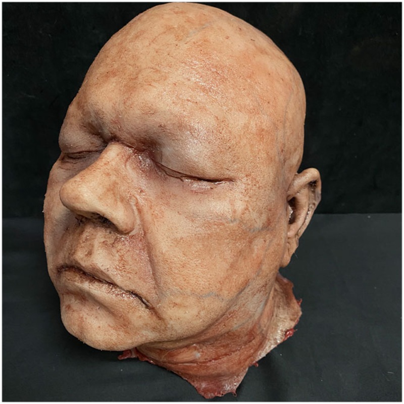 Silicone Severed Head - Abe, Dead A While