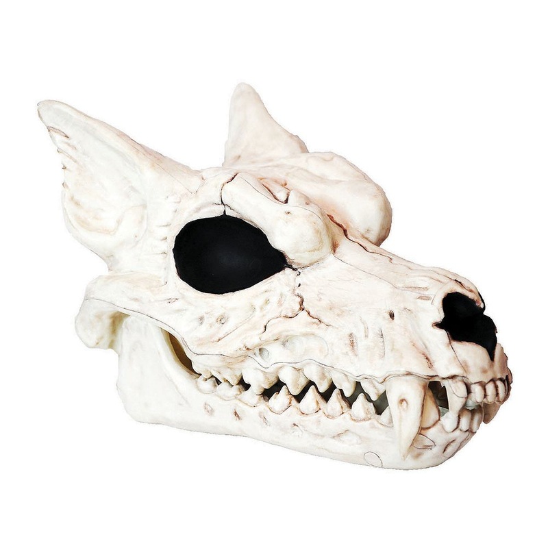 Werewolf Skull with Adjustable Jaw