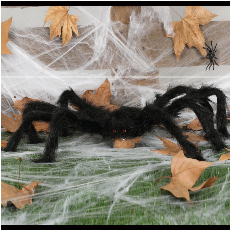 Spider 70cm